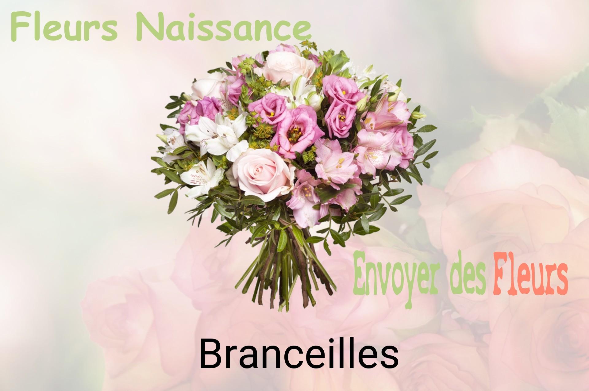 Bouquet de fleurs de naissance livré à Branceilles
